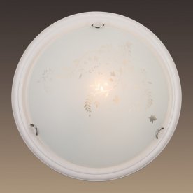 Потолочный светильник Blanketa 101/K