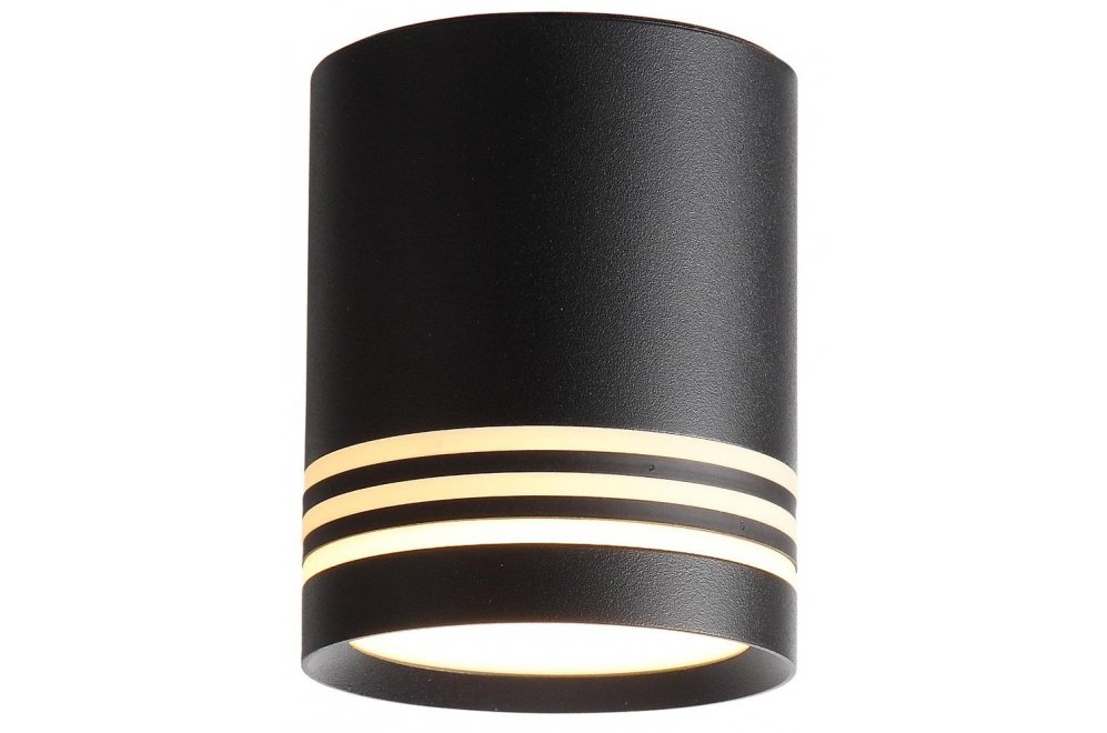 Потолочный светильник Cerione ST101.442.05