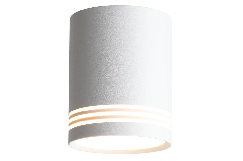 Потолочный светильник Cerione ST101.542.12