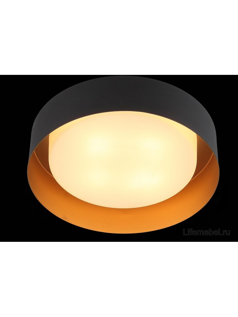 Потолочный светильник Chio SL392.422.04