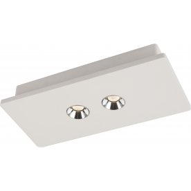 Потолочный светильник Christine 55010-2