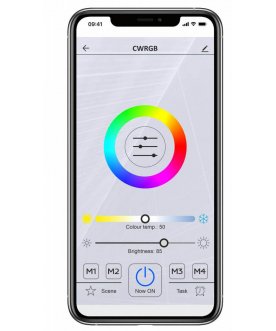 Потолочный светильник CL713A10G