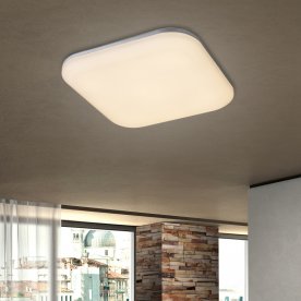 Потолочный светильник Dori 32119-24