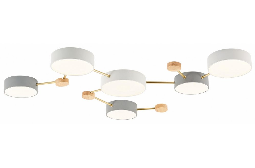 Потолочный светильник Dossena SLE600102-06