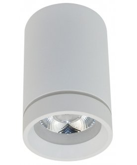 Потолочный светильник APL.0053.09.10