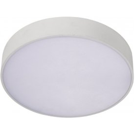 Потолочный светильник APL.0113.09.12