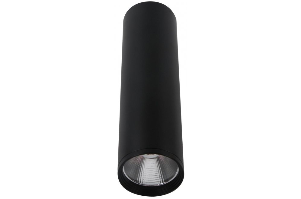 Потолочный светильник Фабио 08570-20,19