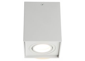 Потолочный светильник Feletto OML-101109-01