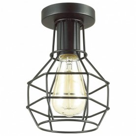 Потолочный светильник Harald 3637/1C