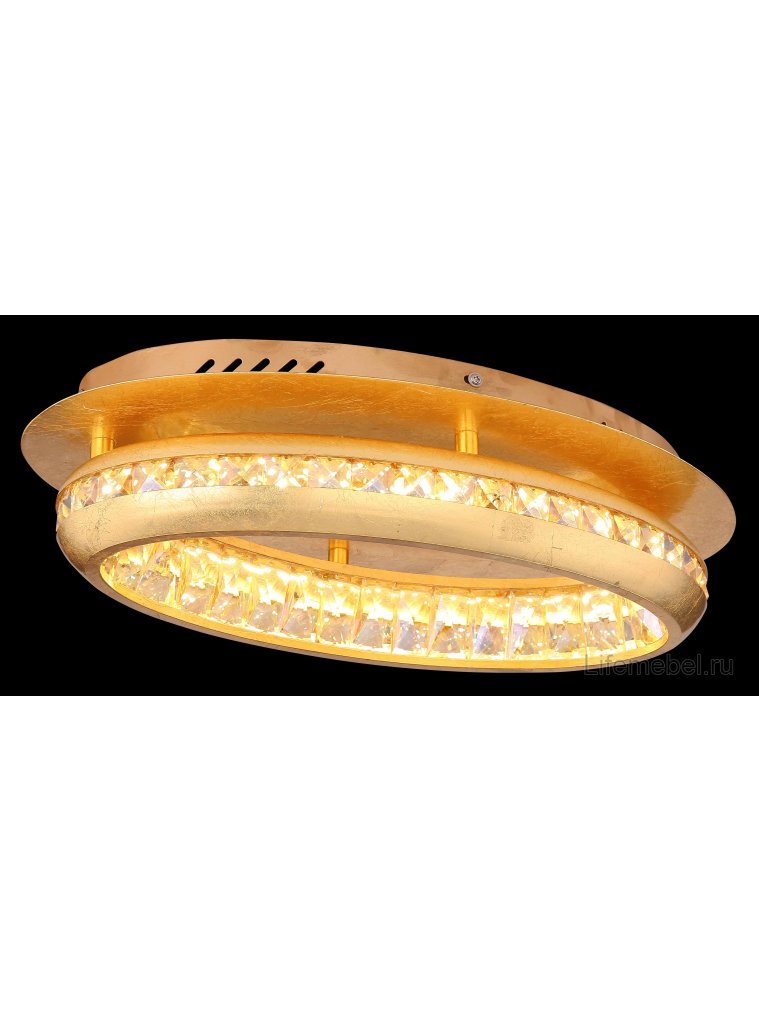 Потолочный светильник Hommi 67096-18G