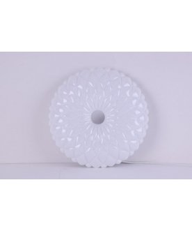 Потолочный светильник LBS-1005