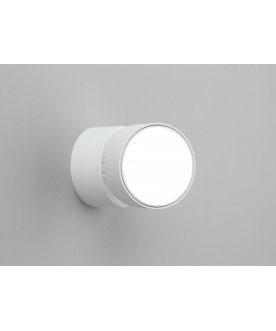 Потолочный светильник Lenno OML-101309-12