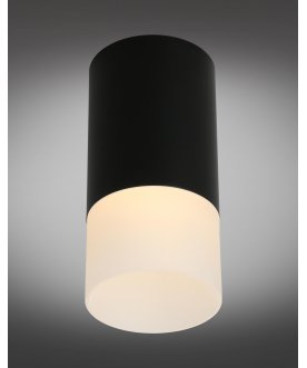 Потолочный светильник Lucido OML-100619-01