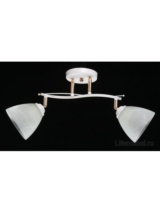 Потолочный светильник Нежность 676013502