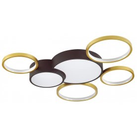 Потолочный светильник 5255/99CL