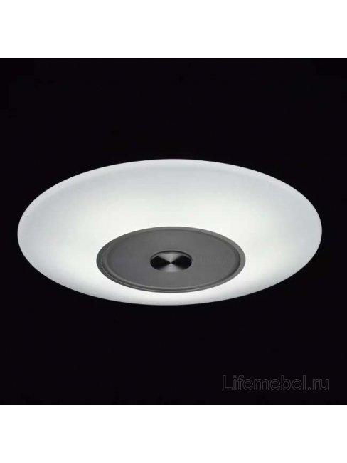 Потолочный светильник Норден 660011801