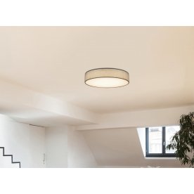 Потолочный светильник Paco 15185D5