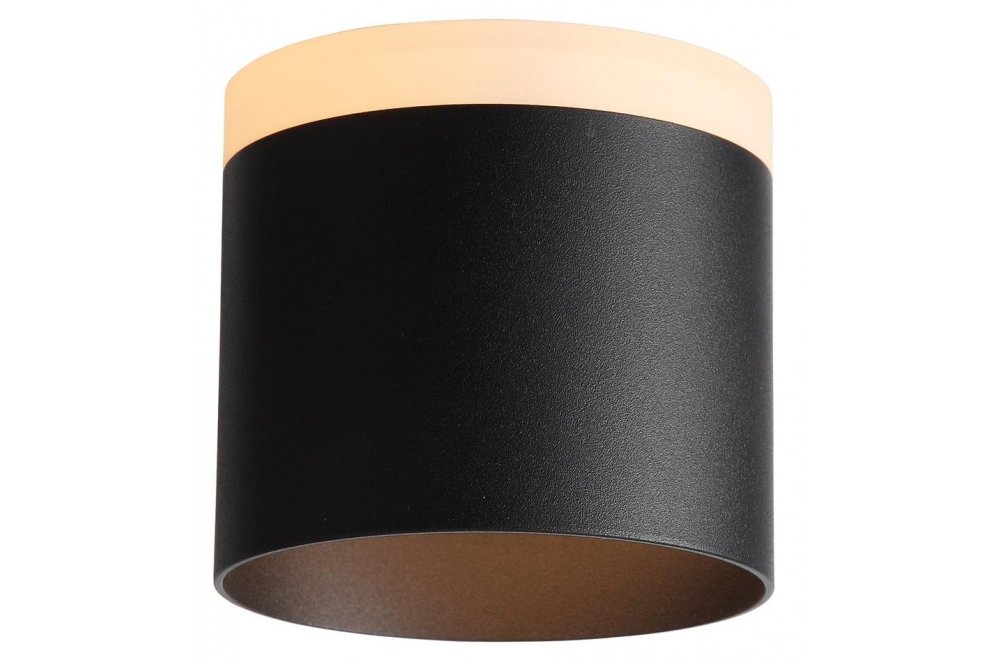 Потолочный светильник Panaggio ST102.402.12