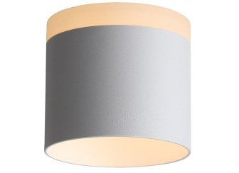 Потолочный светильник Panaggio