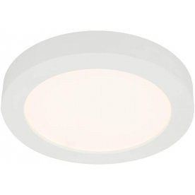 Потолочный светильник Paula 41605-22