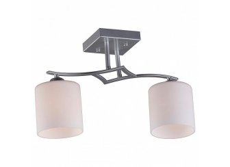 Потолочный светильник Pisticci OML-55307-02