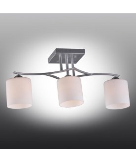 Потолочный светильник Pisticci OML-55307-03