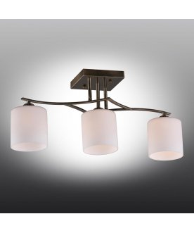 Потолочный светильник Pisticci OML-55317-03