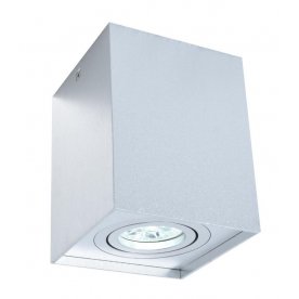 Потолочный светильник LDC 8055-B SL