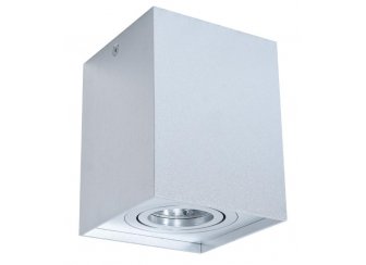 Потолочный светильник LDC 8055-B SL