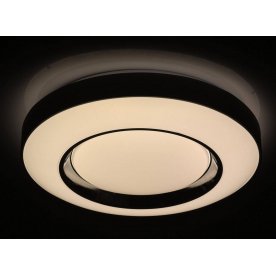 Потолочный светильник Ривз 674016801