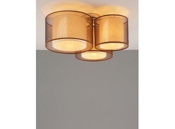 Потолочный светильник V10623-3C