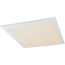 Потолочный светильник Rosi 41604D2D