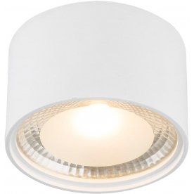 Потолочный светильник Serena 12007W