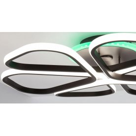 Потолочный светильник CL233A275E