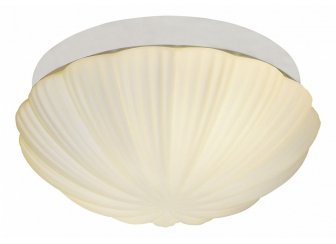 Потолочный светильник Bagno SL495.502.02