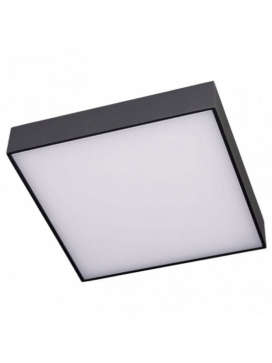 Потолочный светильник Тао CL712K242