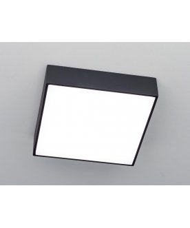 Потолочный светильник Тао CL712X182N