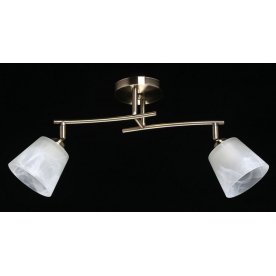 Потолочный светильник Тетро