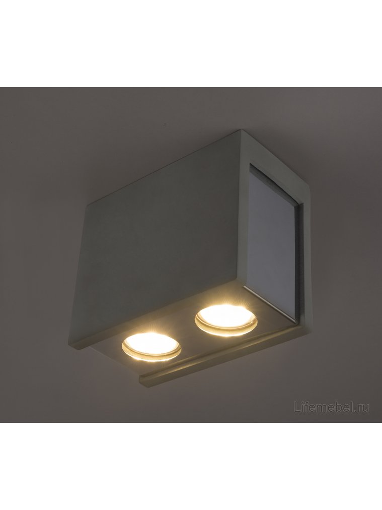 Потолочный светильник Timo 55011-2D