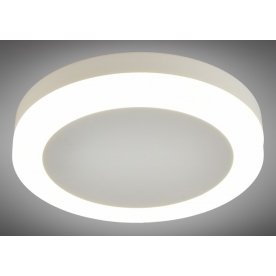 Потолочный светильник OML-102109-06