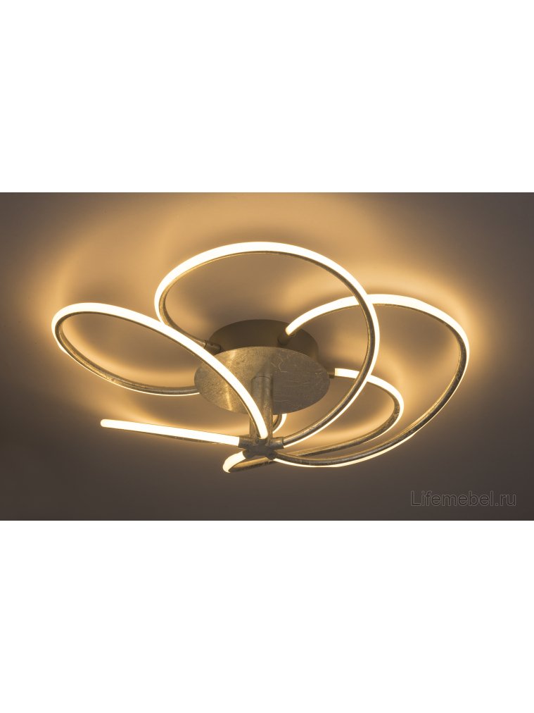 Потолочный светильник Wave 67823-40D1S