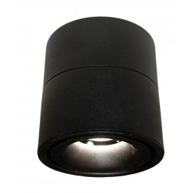 Потолочный светильник LDC 8056-12W BK