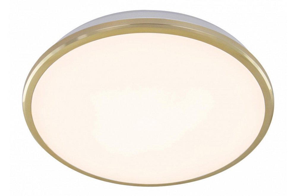 Настенно-потолочный светильник Луна CL702222W