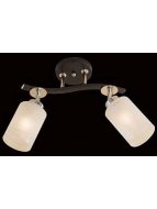 Потолочный светильник Фортуна CL156121