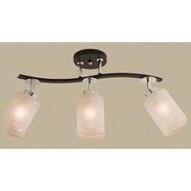 Спот Фортуна CL156131