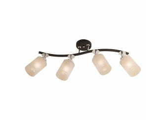 Спот Фортуна CL156141