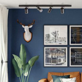 Трековый светильник CLT