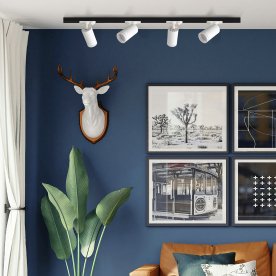 Трековый светильник CLT