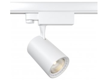 Трековый светильник TR029-3-10W3K-M-W
