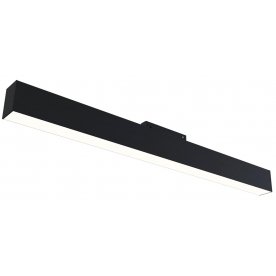 Трековый светильник lamps TR012-2-20W4K-B